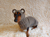 Bear costume made of alpaca wool for dogs, dachshund bear set sweater and hat