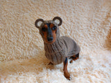 Bear costume made of alpaca wool for dogs, dachshund bear set sweater and hat