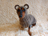 Bear costume made of alpaca wool for dogs, dachshund bear set sweater and hat