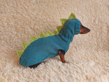Dragon Dinosaur Winter Dog Clothes Costume Jumper and Hat