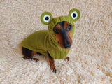 Pet Frog Costume - Halloween Costume Frog Sweater and Hat - Dachshund Frog Set for Dog Photo Shoot-Halloween dog costume for small dog Frog