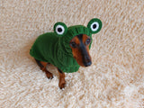 Pet Frog Costume - Halloween Costume Frog Sweater and Hat - Dachshund Frog Set for Dog Photo Shoot-Halloween dog costume for small dog Frog