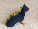 Dragon Dinosaur Costume for Dog Sweater and Hat,Halloween Dinosaur Costume for Dogs Dinosaur Dragon Costume Sweater and Hat Zoo Animal Clothes