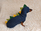Dragon Dinosaur Costume for Dog Sweater and Hat,Halloween Dinosaur Costume for Dogs Dinosaur Dragon Costume Sweater and Hat Zoo Animal Clothes