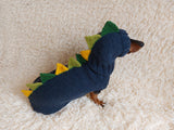 Dragon Dinosaur Costume for Dog Sweater and Hat,Halloween Dinosaur Costume for Dogs Dinosaur Dragon Costume Sweater and Hat Zoo Animal Clothes