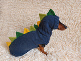 Dragon Dinosaur Costume for Dog Sweater and Hat,Halloween Dinosaur Costume for Dogs Dinosaur Dragon Costume Sweater and Hat Zoo Animal Clothes