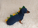 Dragon Dinosaur Costume for Dog Sweater and Hat,Halloween Dinosaur Costume for Dogs Dinosaur Dragon Costume Sweater and Hat Zoo Animal Clothes