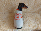 Clothes for a dachshund or small dog knitted winter wool warm jumper with a pattern
