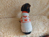 Clothes for a dachshund or small dog knitted winter wool warm jumper with a pattern