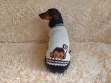 Clothes for a dachshund or small dog knitted winter wool warm jumper with a pattern