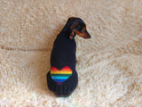 Clothes for a dachshund or small dog knitted winter wool warm jumper with a pattern