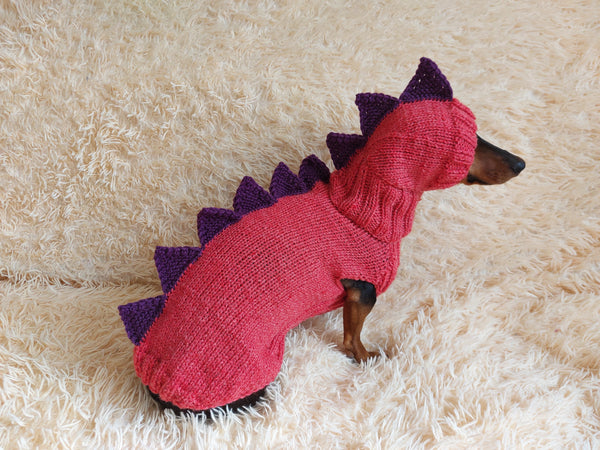 Dinosaur Dragon Costume Sweater and Hat Zoo Animal Clothes