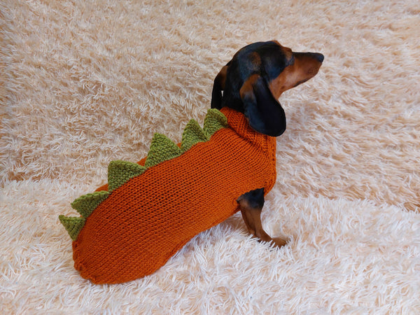 Dinosaur dragon  dog sweater zoo animal dog clothes