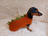 Dog dinosaur knitted clothes sweater, dinosaur sweater for dogs, original dog clothes dinosaur sweater