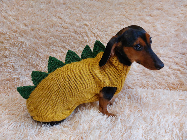 Dinosaur dragon  dog sweater zoo animal dog clothes