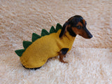 Dinosaur dragon  dog sweater zoo animal dog clothes