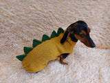 Dinosaur dragon  dog sweater zoo animal dog clothes