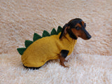 Dinosaur dragon  dog sweater zoo animal dog clothes