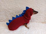 Dinosaur Dragon dog Costume Sweater and Hat Zoo Animal Clothes