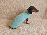 Jumper with flowers for a mini dachshund,Sweater with flowers and butterflies for miniature dachshund or small dog.