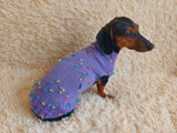 Jumper with flowers for a mini dachshund,Sweater with flowers and butterflies for miniature dachshund or small dog.