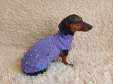 Jumper with flowers for a mini dachshund,Sweater with flowers and butterflies for miniature dachshund or small dog.