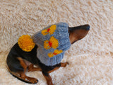Duck clothes hat for dachshund or small dog