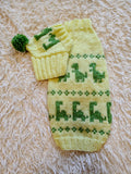 Dinosaur Costume for Dog Jumper and Pompom Hat Set