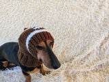 Football hat for dog