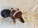 Football hat for dog