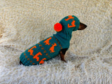 Dinosaur Costume for Dog Jumper and Pompom Hat Set