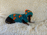 Dinosaur Costume for Dog Jumper and Pompom Hat Set