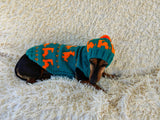 Dinosaur Costume for Dog Jumper and Pompom Hat Set