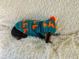 Dinosaur Costume for Dog Jumper and Pompom Hat Set