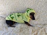 Dinosaur Costume for Dog Jumper and Pompom Hat Set