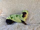 Dinosaur Costume for Dog Jumper and Pompom Hat Set