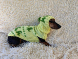 Dinosaur Costume for Dog Jumper and Pompom Hat Set