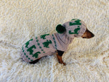 Dinosaur Costume for Dog Jumper and Pompom Hat Set