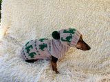 Dinosaur Costume for Dog Jumper and Pompom Hat Set