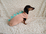 Dachshund Halloween Dinosaur Outfit Costume Sweater and Hat-dino pet cloches jamper