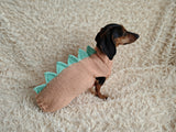 Dachshund Halloween Dinosaur Outfit Costume Sweater and Hat-dino pet cloches jamper