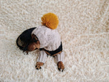 Alpaca Wool Dog Leggings and Hat Set