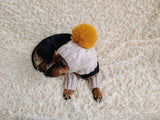 Alpaca Wool Dog Leggings and Hat Set