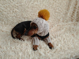 Alpaca Wool Dog Leggings and Hat Set