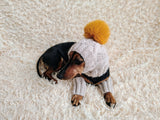 Alpaca Wool Dog Leggings and Hat Set