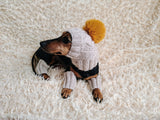 Alpaca Wool Dog Leggings and Hat Set
