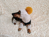 Alpaca Wool Dog Leggings and Hat Set