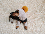 Alpaca Wool Dog Leggings and Hat Set