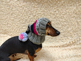 Christmas rainbow striped Santa hat for dog with pom poms