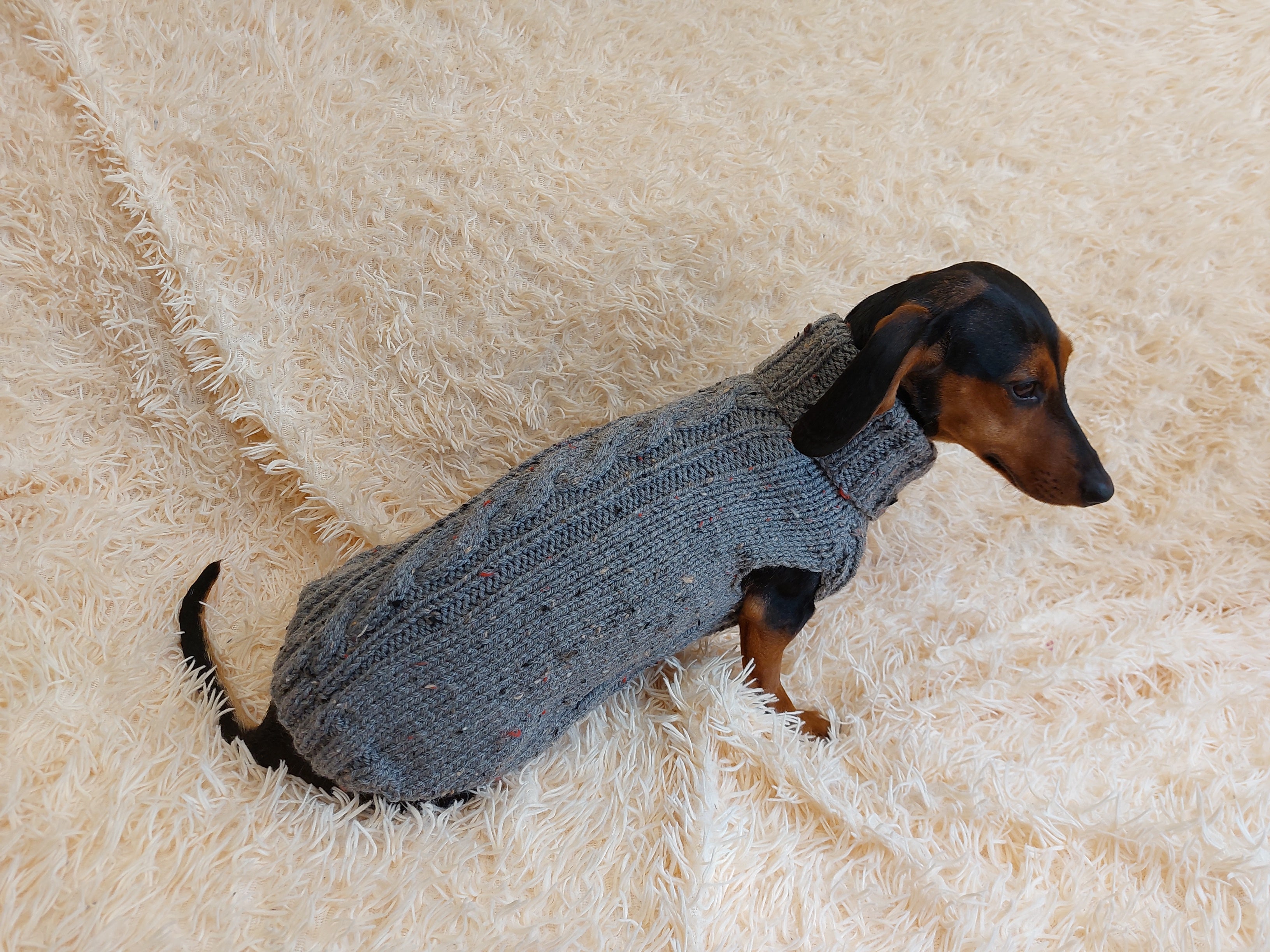 Sausage Dog Clothes Dachshund Crochet Sweater Pattern Alpaca